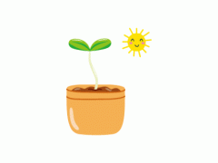 多肉植物開花不好？這是為什么，開的話如何養(yǎng)護(hù)
