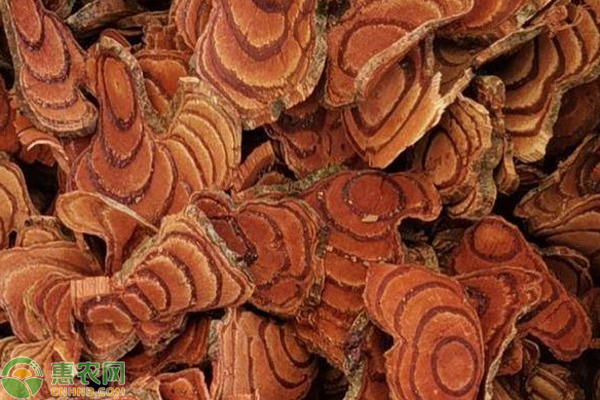 種植業免稅政策_種植業_種植業有哪些種類