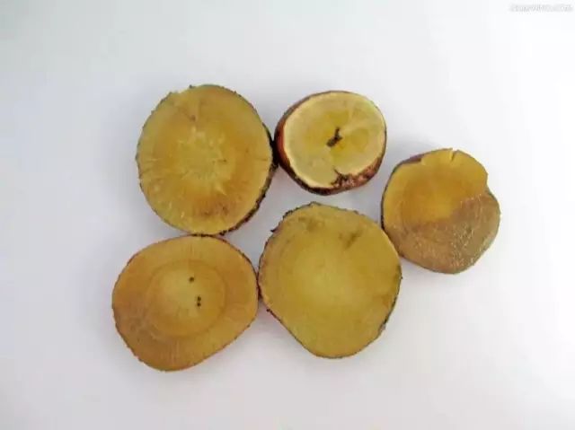 常見(jiàn)中藥藥材_藥材常用種有中成藥嗎_常用的中藥材有多少種