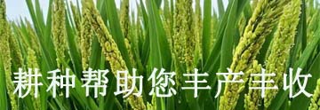 常用有機(jī)磷農(nóng)藥_常見(jiàn)的有機(jī)磷農(nóng)藥有哪些_有機(jī)磷類(lèi)農(nóng)藥種類(lèi)