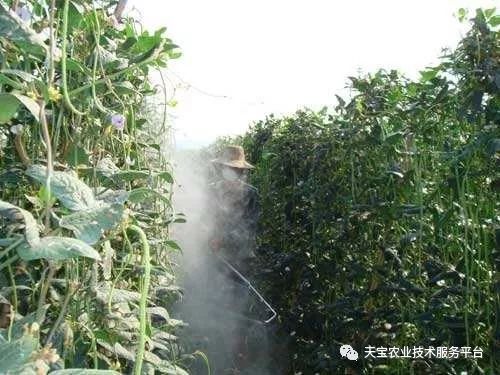 堿性農藥_農藥堿性藥物都有哪些名稱_農藥堿性還是酸性