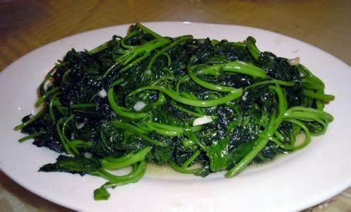 紅薯怎樣水培種植技術(shù)_水培紅薯的種植方法_紅薯種植水培方法和技術(shù)