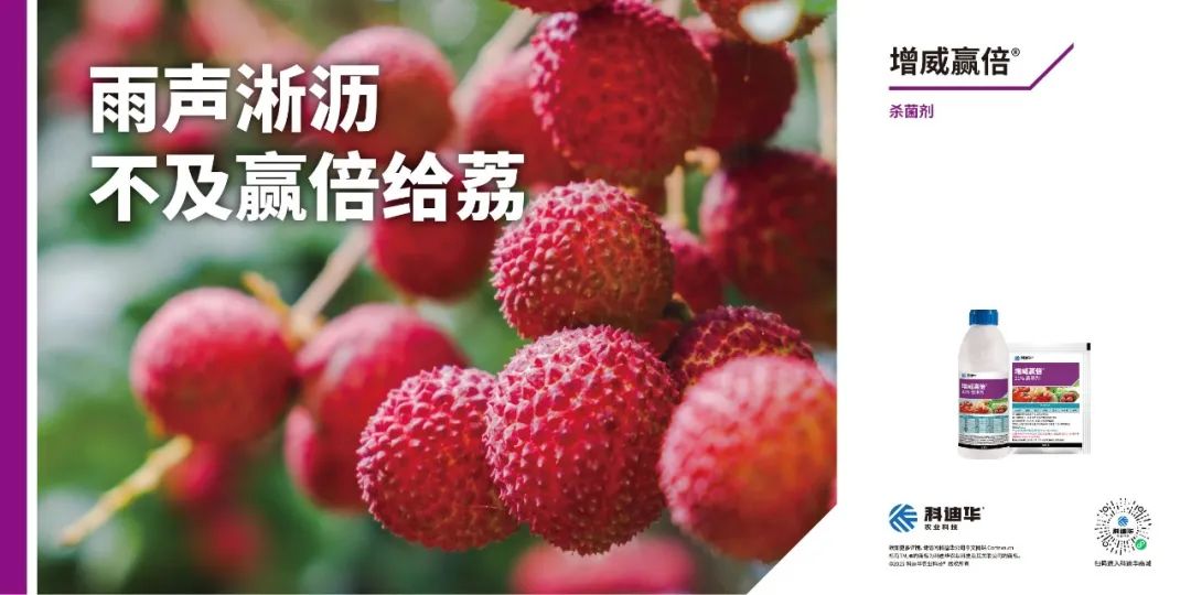 農藥最佳二化螟三化螟是什么_二化螟三化螟的最佳農藥_二化螟藥劑