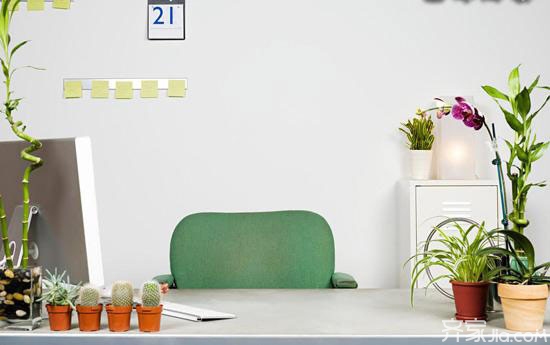 適合室內(nèi)養(yǎng)殖的綠植有哪些_養(yǎng)殖室內(nèi)綠植有哪些_室內(nèi)養(yǎng)殖的綠植